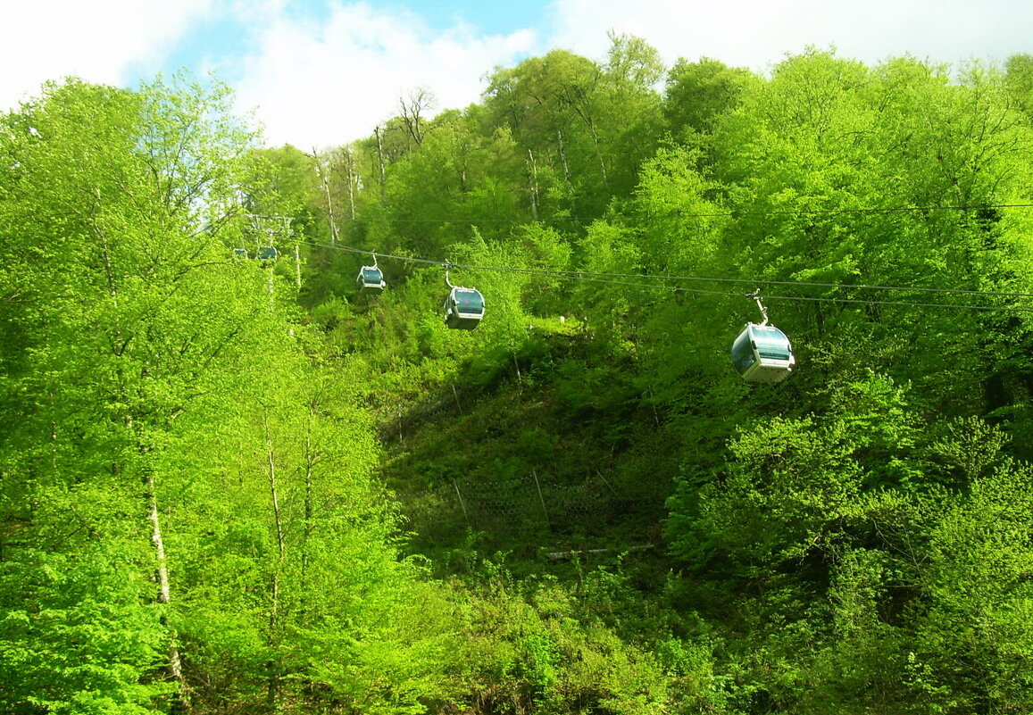 Канатная дорога в горах - Татьяна Р Канатная дорога в горах - Татьяна Р