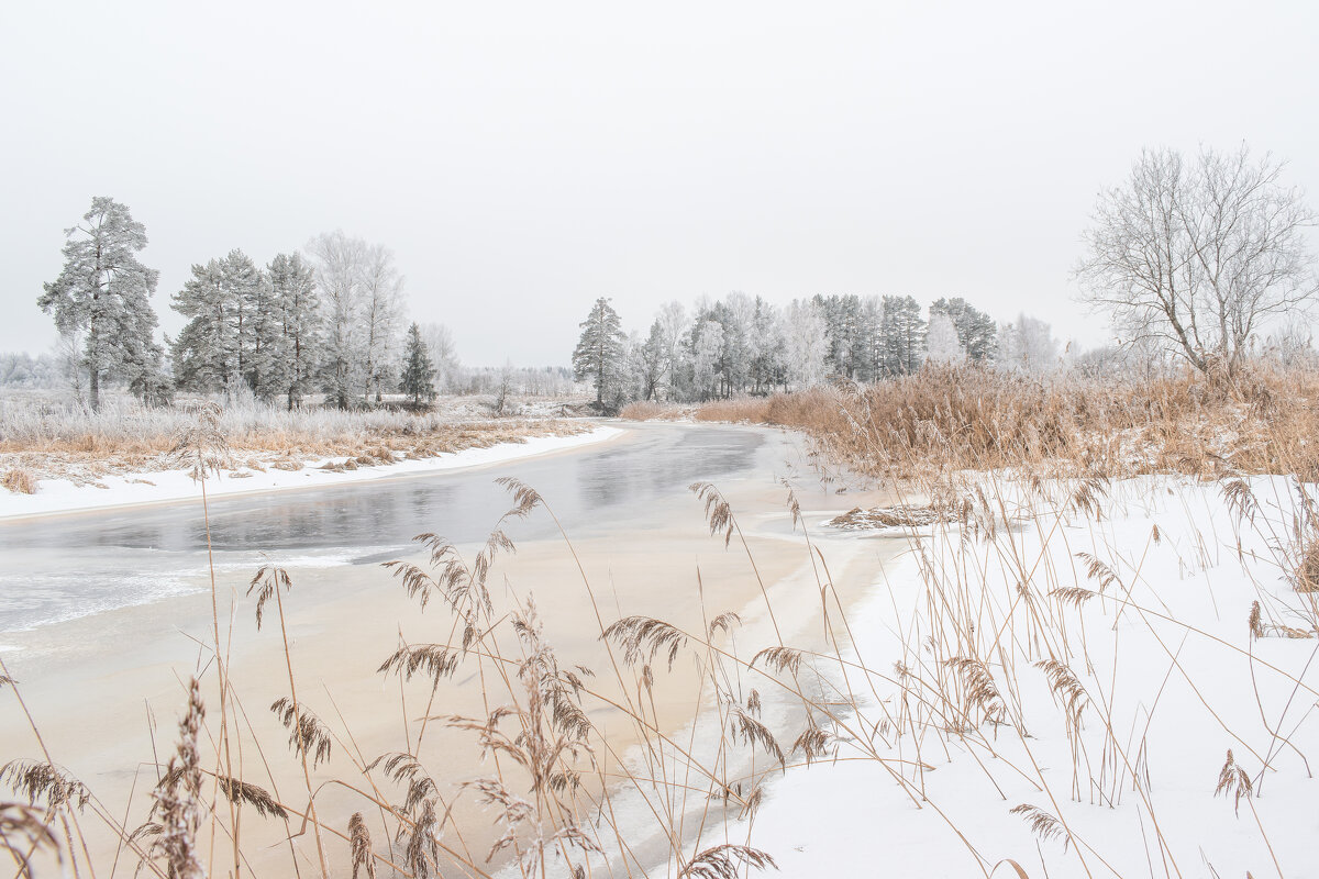 Зимний пейзаж - Дарья Меркулова Зимний пейзаж - Дарья Меркулова