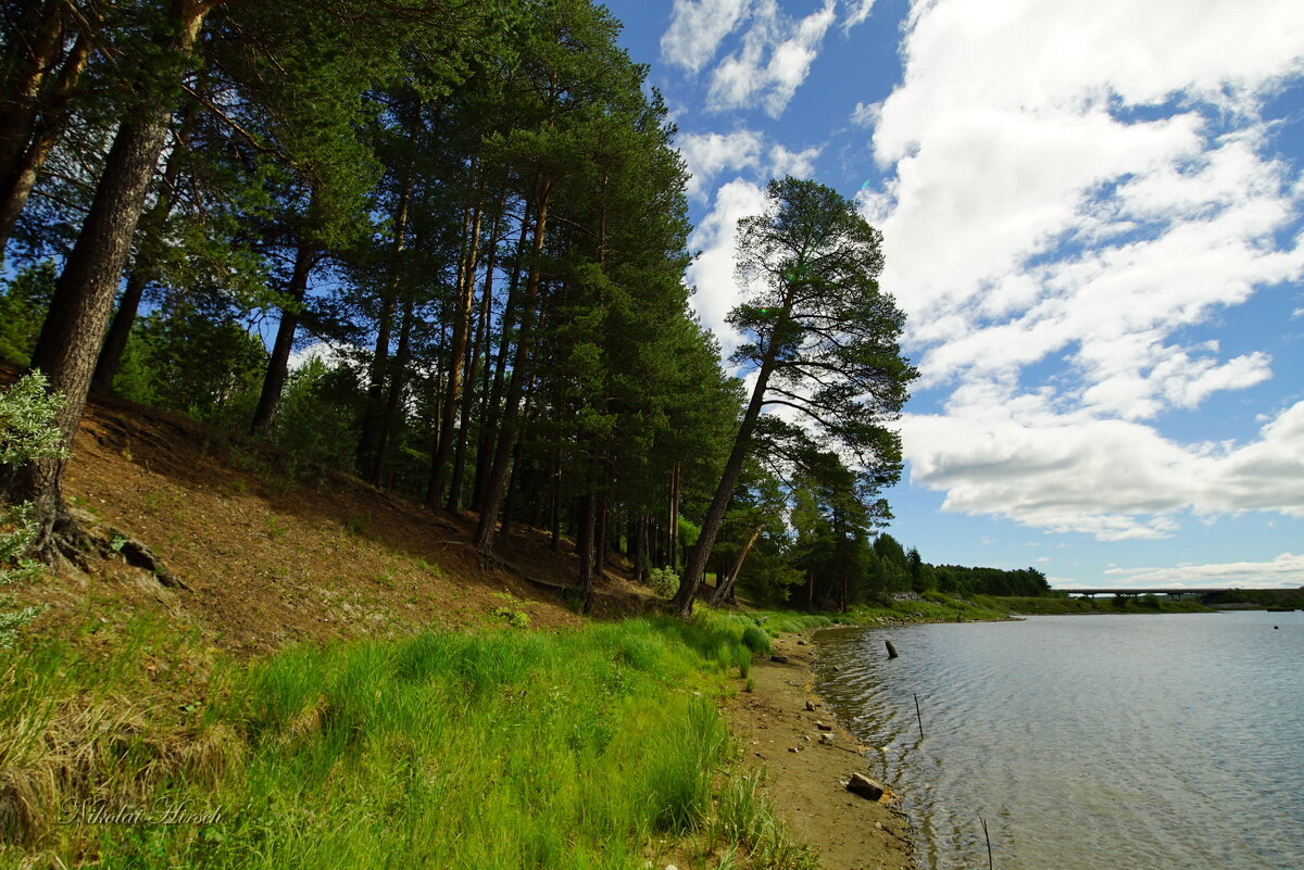 По берегу Турьи... - Николай Гирш