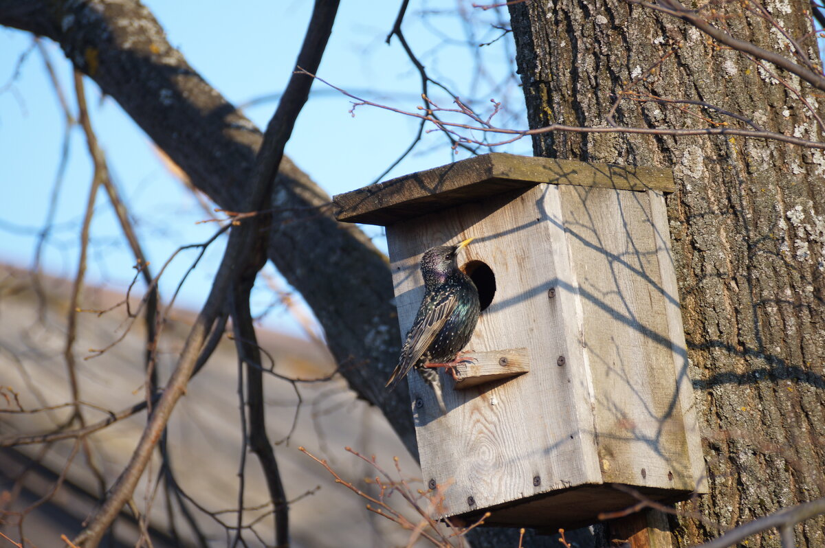 ... - Сергей Ц