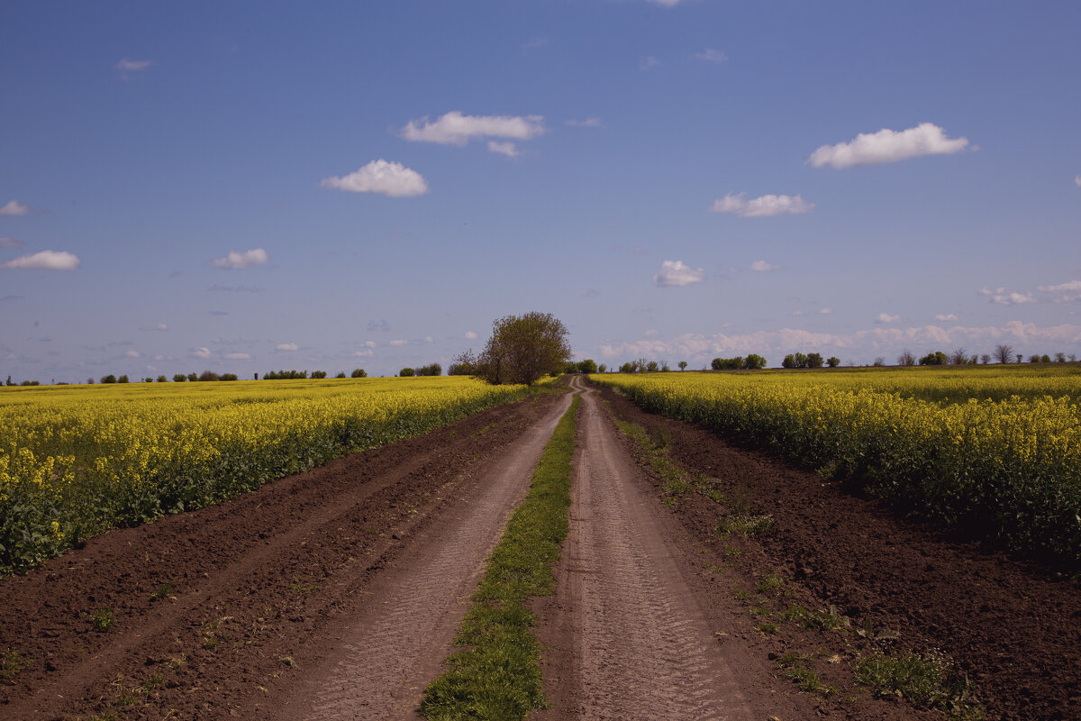 *** - Яна Горбунова