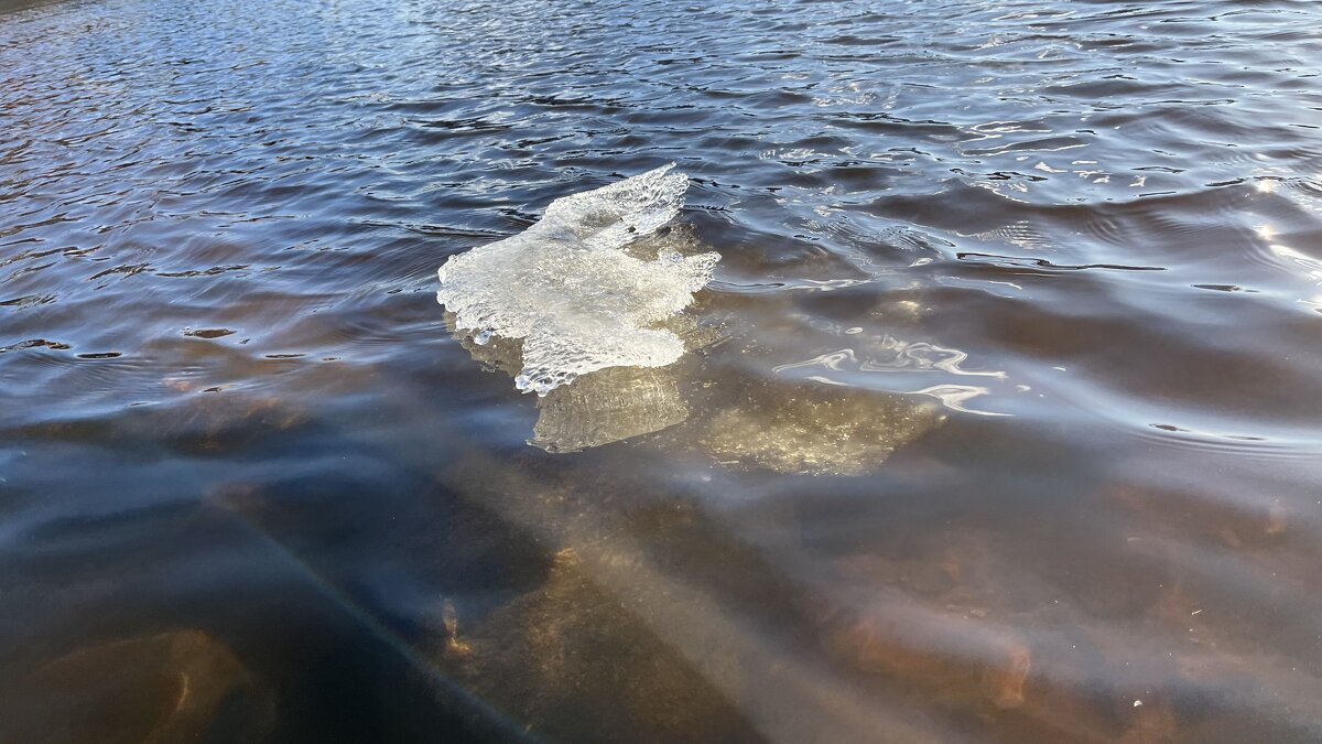 ***льдинка*** - Olga Oskolkova ***льдинка*** - Olga Oskolkova