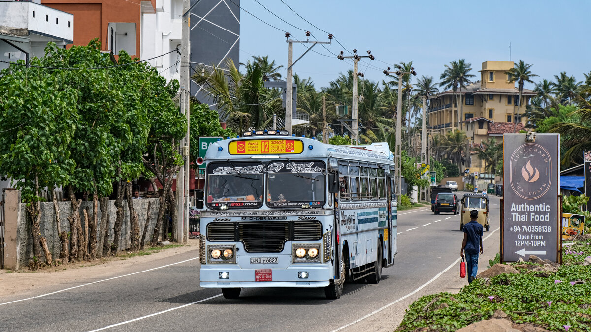 Автобус - Dmitry i Mary S
