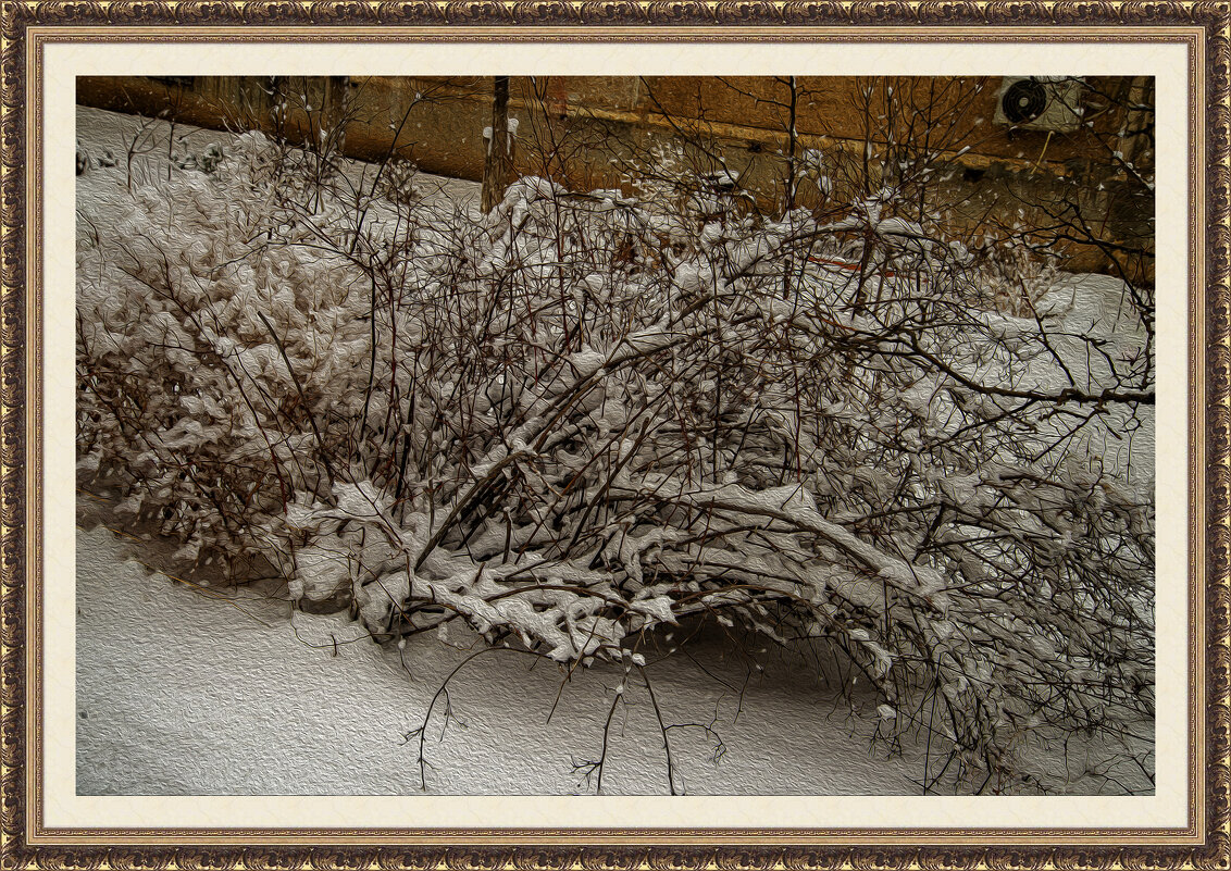 Снег - Анатолий Чикчирный