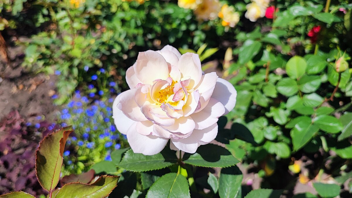 ,,, - Сергей Тимоновский ,,, - Сергей Тимоновский