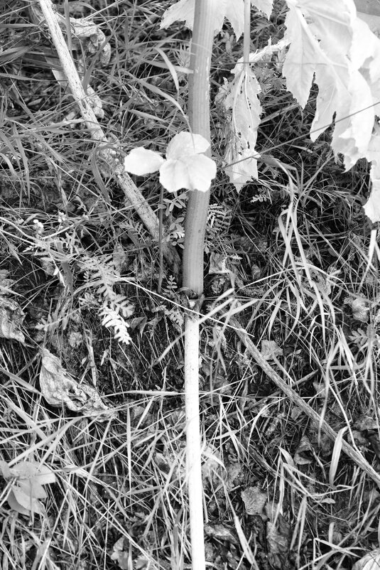 Название отсутствует - Денис Безногов Название отсутствует - Денис Безногов