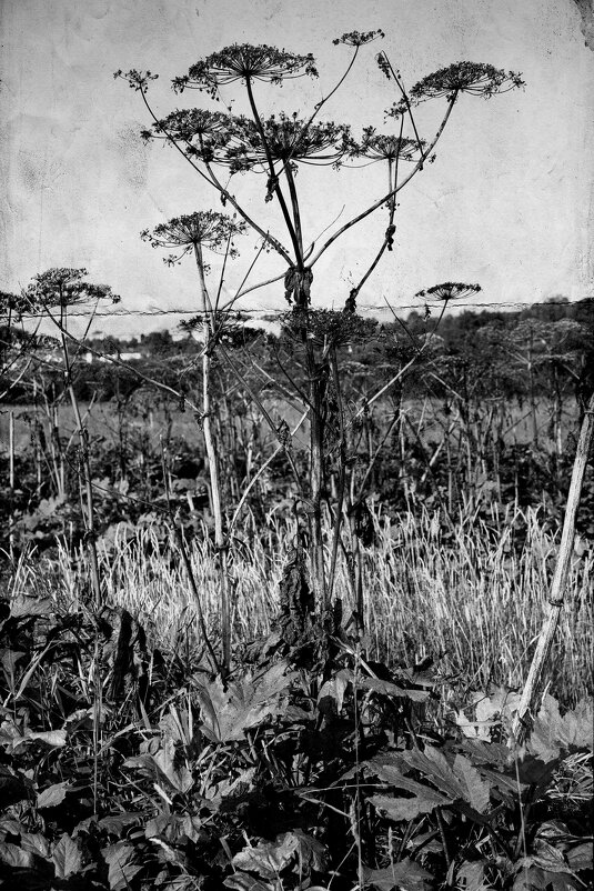 Название отсутствует - Денис Безногов