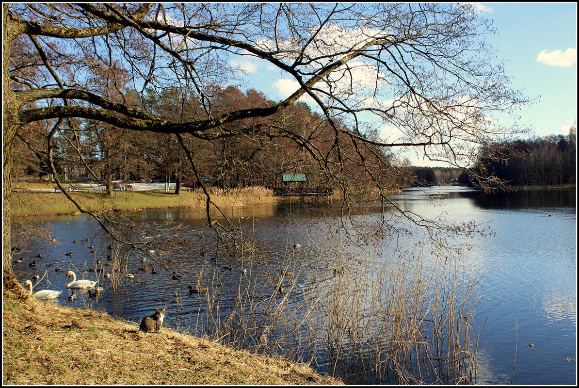 *** - Aleksandr Gal *** - Aleksandr Gal