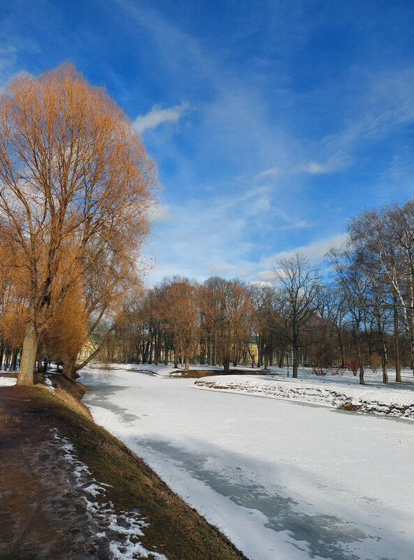 Март в Таврическом саду - Ирина Румянцева