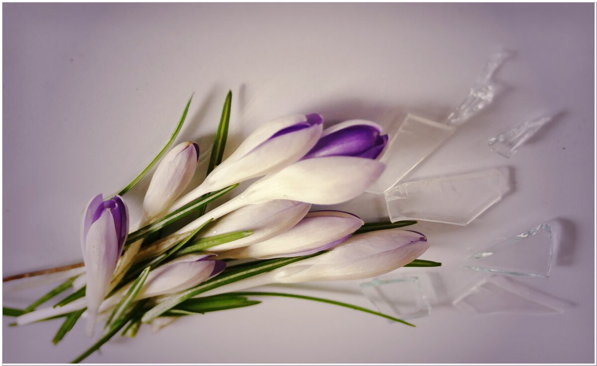 ЭТЮД... - Elvira E. 