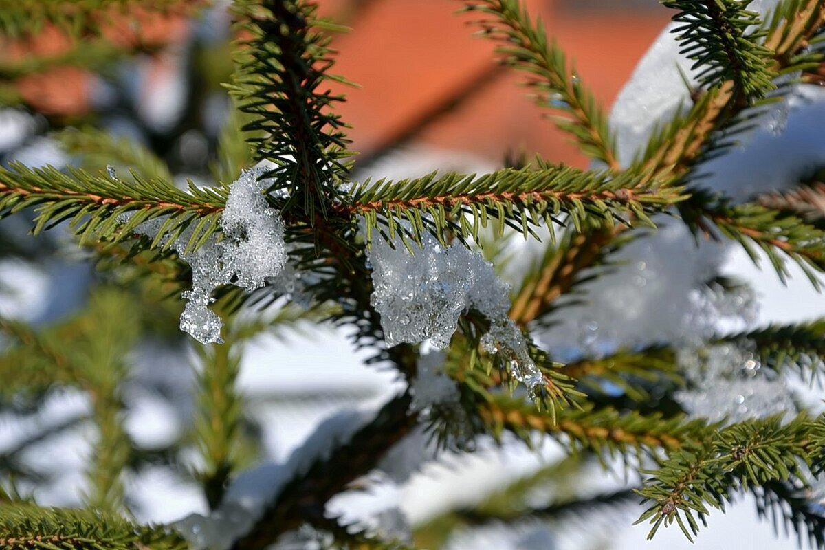 Зима в марте. - Михаил Столяров