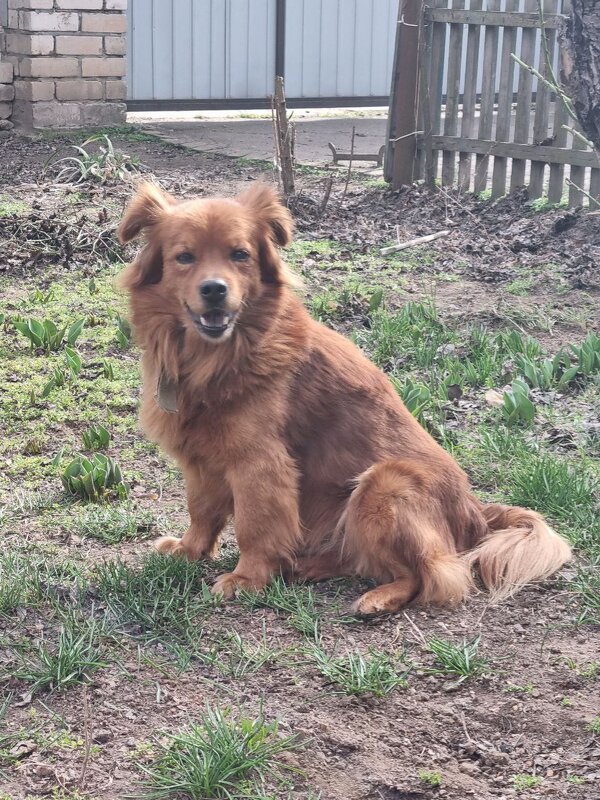 От улыбки хмурый день светлей :) - Наталья От улыбки хмурый день светлей :) - Наталья