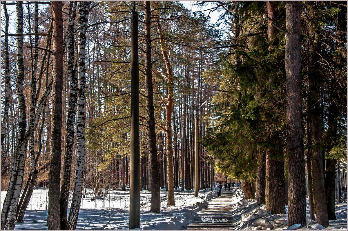 Март... - Aquarius - Сергей Март... - Aquarius - Сергей