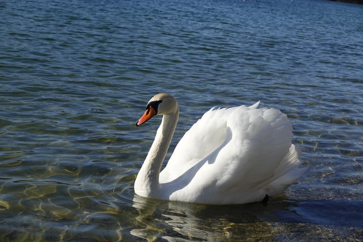 ... - Галина ... - Галина