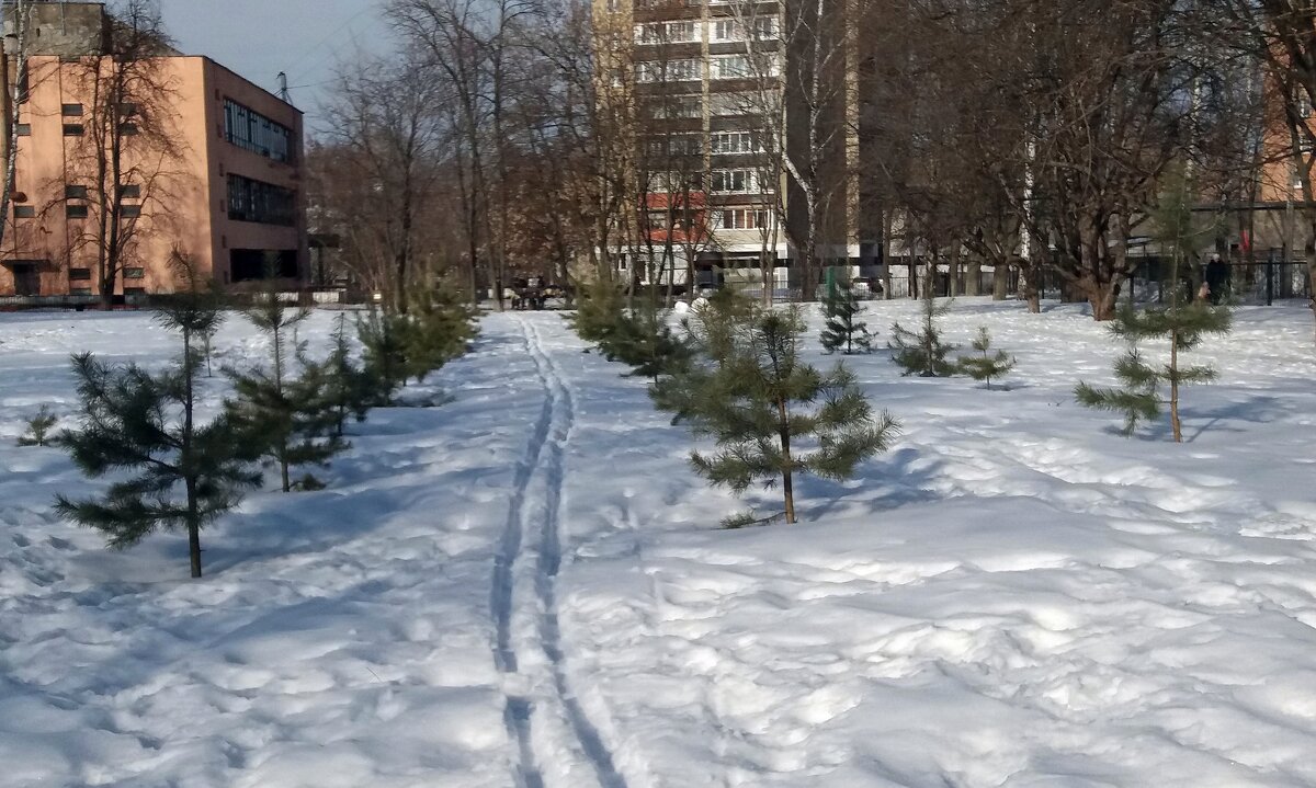 15 марта 2024 года - Galina Solovova