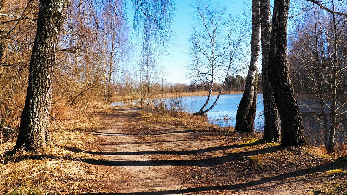 Весенний, деревенский пейзаж. - Милешкин Владимир Алексеевич Весенний, деревенский пейзаж. - Милешкин Владимир Алексеевич
