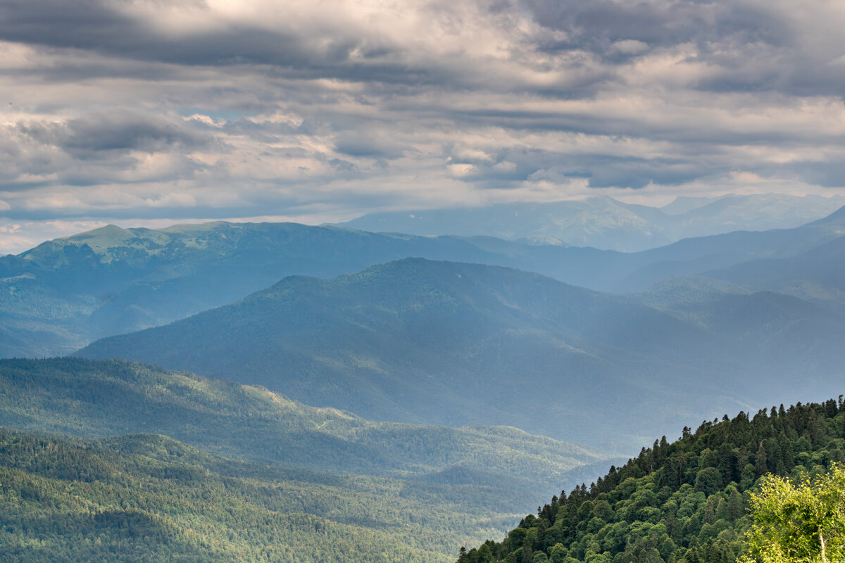 Леса в Адыгее - Игорь Сикорский Леса в Адыгее - Игорь Сикорский