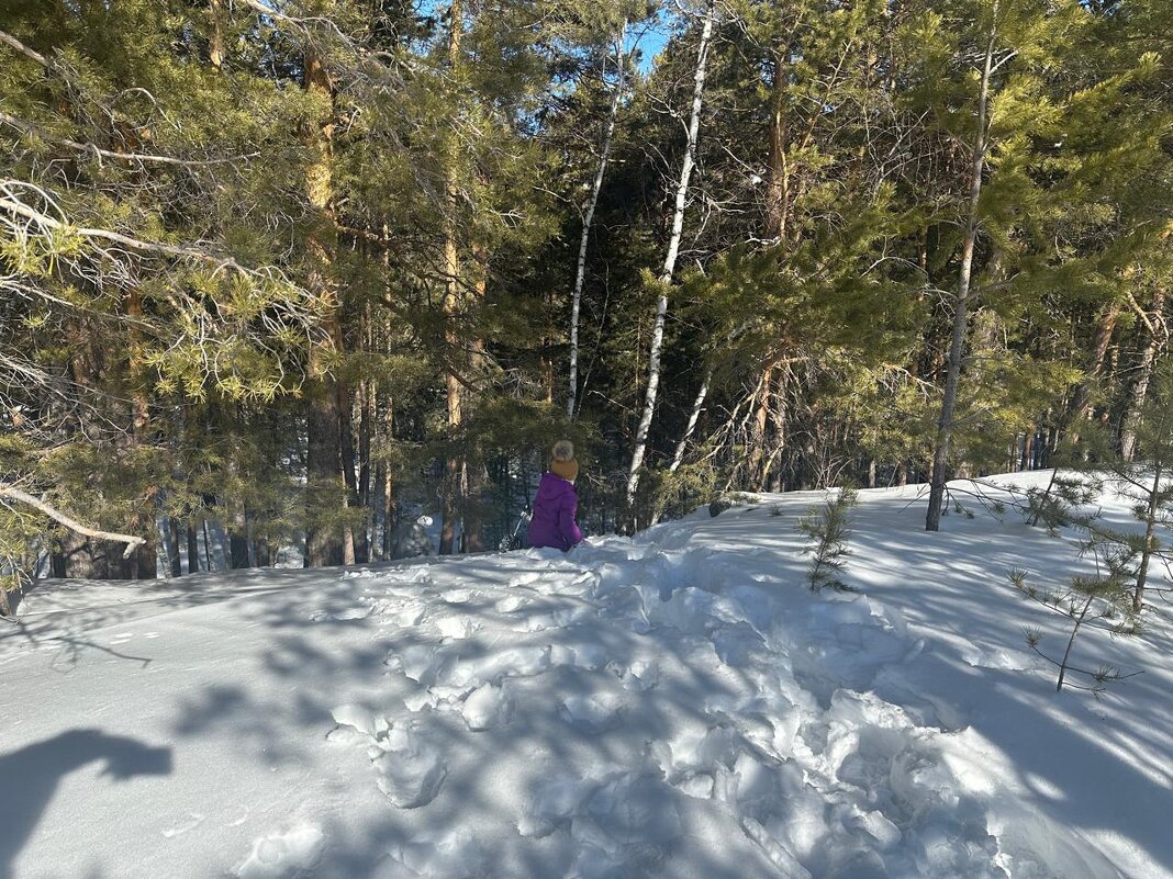 В лесу.. - Георгиевич В лесу.. - Георгиевич