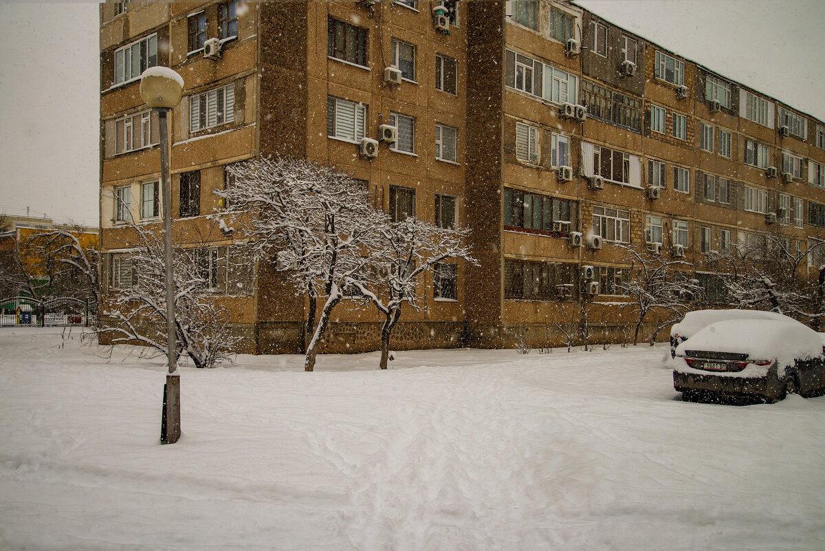Дворик - Анатолий Чикчирный