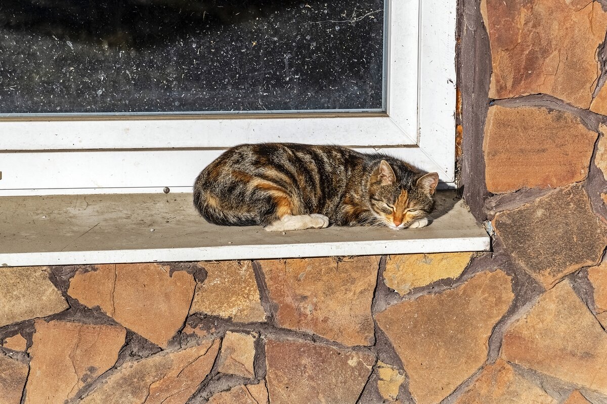 После мартовской ночи - Валерий Иванович После мартовской ночи - Валерий Иванович