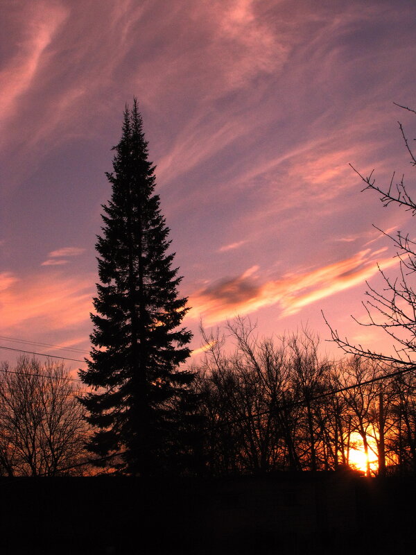 Мартовский вечер - Людмила Смородинская