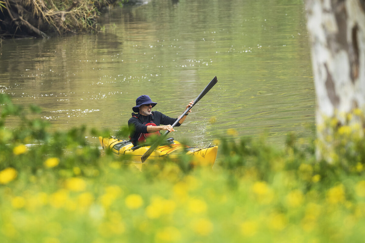 Утро на р.Яркон. - Alexander Amromin Утро на р.Яркон. - Alexander Amromin