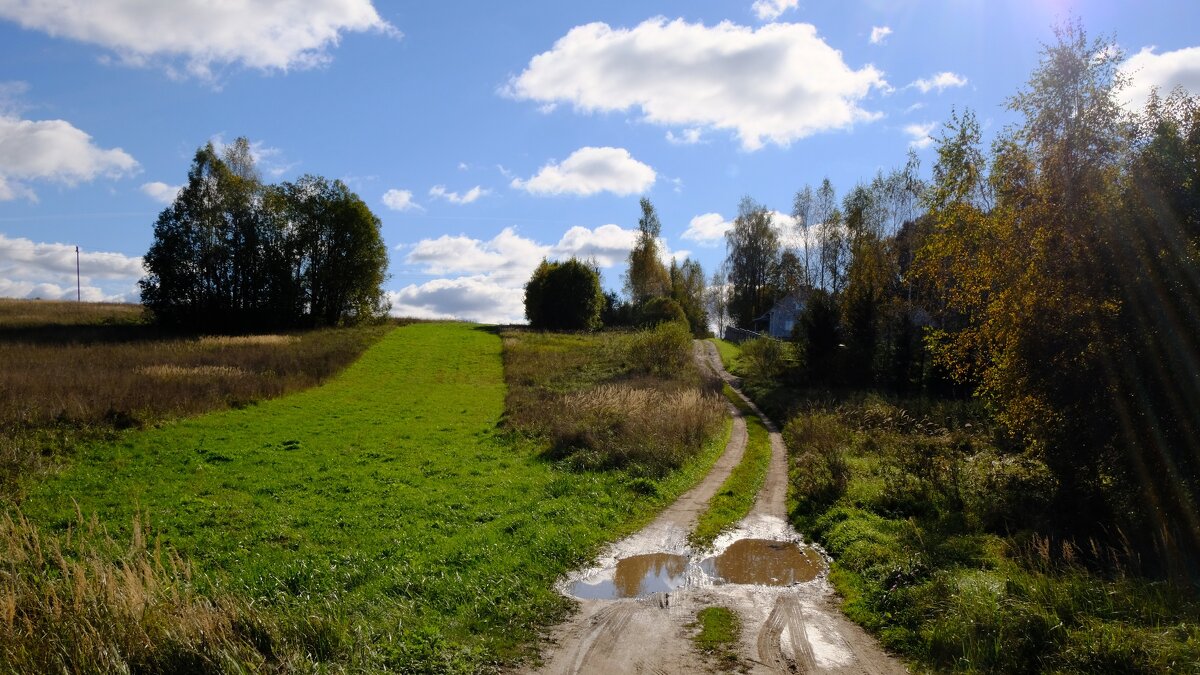 Сельская дорога - Олег Зоркий