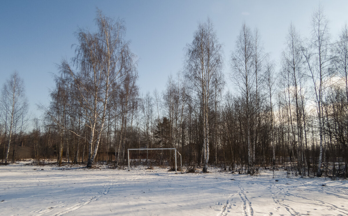 Скоро детвора оживит пейзаж - Сергей Цветков Скоро детвора оживит пейзаж - Сергей Цветков