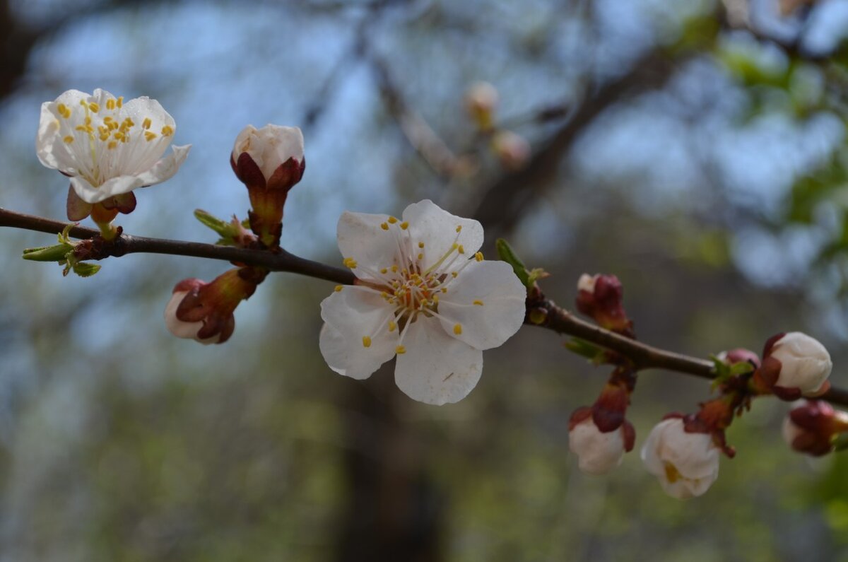 ,,, - Сергей Тимоновский ,,, - Сергей Тимоновский