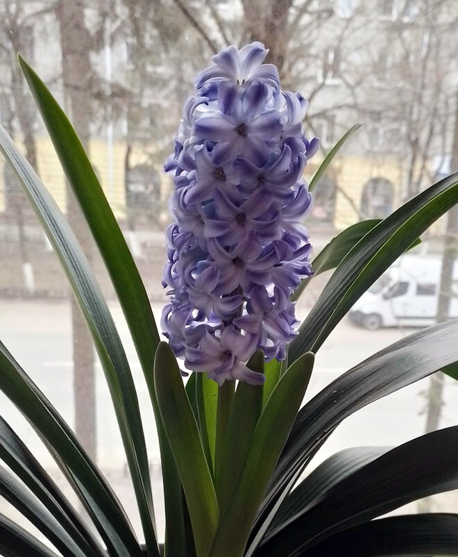 *** - Валентина Береснева