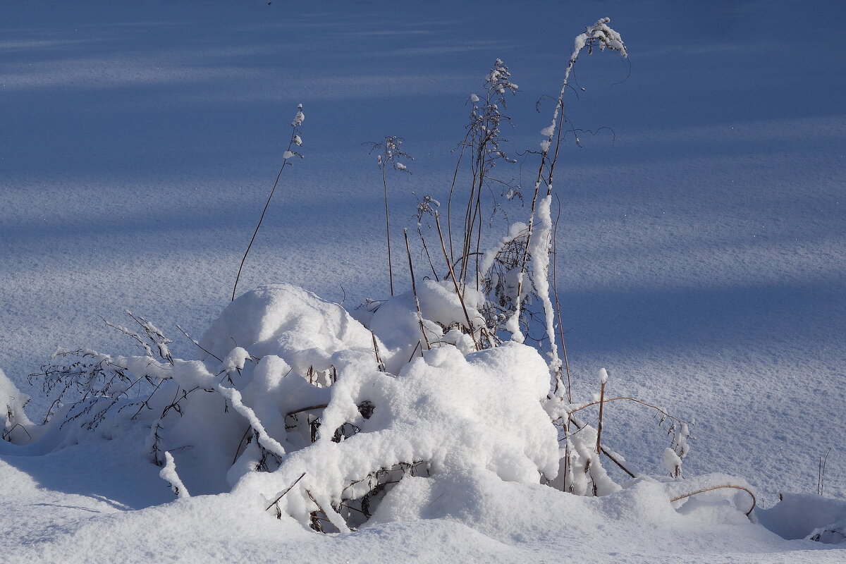 Окрестности Калининграда - Рита Симонова Окрестности Калининграда - Рита Симонова
