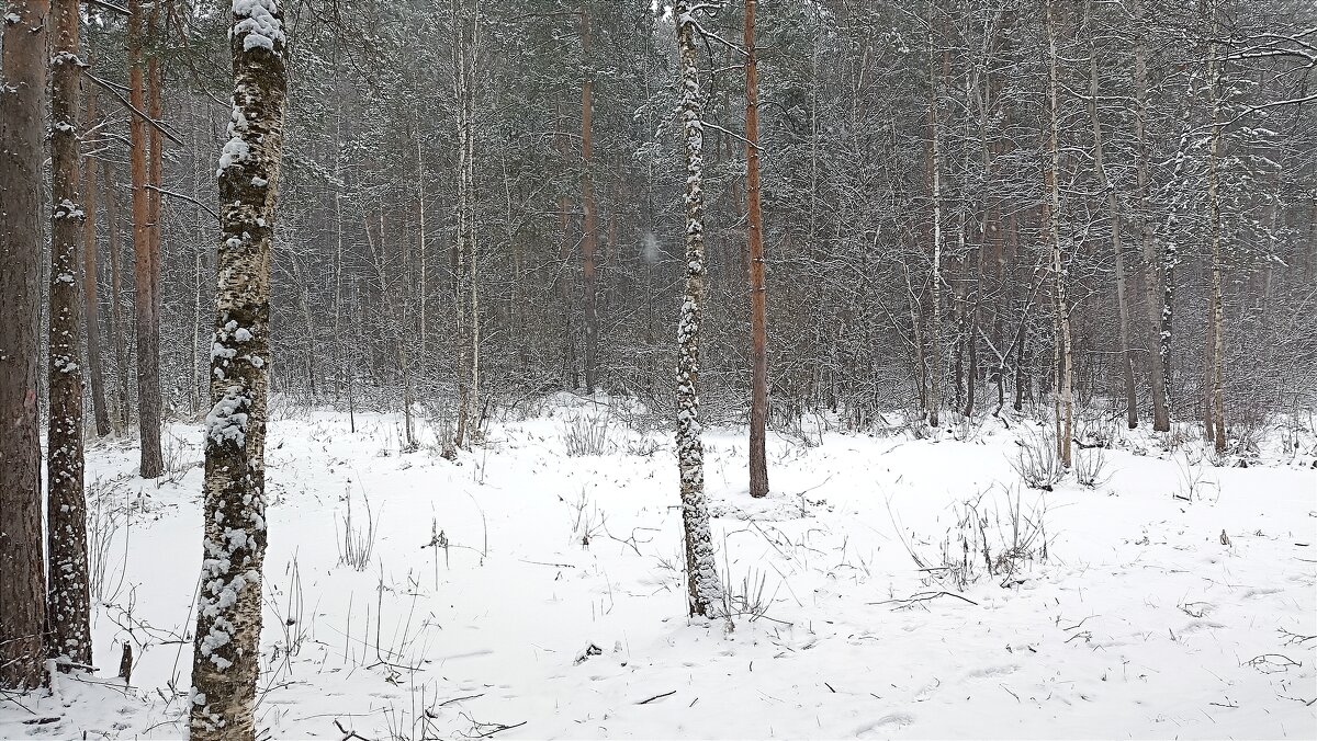 17 марта - Татьяна Тюменка 17 марта - Татьяна Тюменка