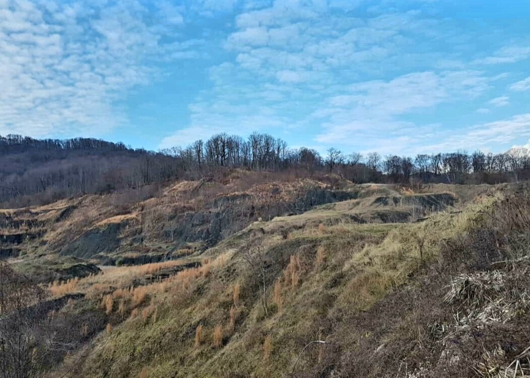 ОТДЫХ НА ПРИРОДЕ - Tata Wolf