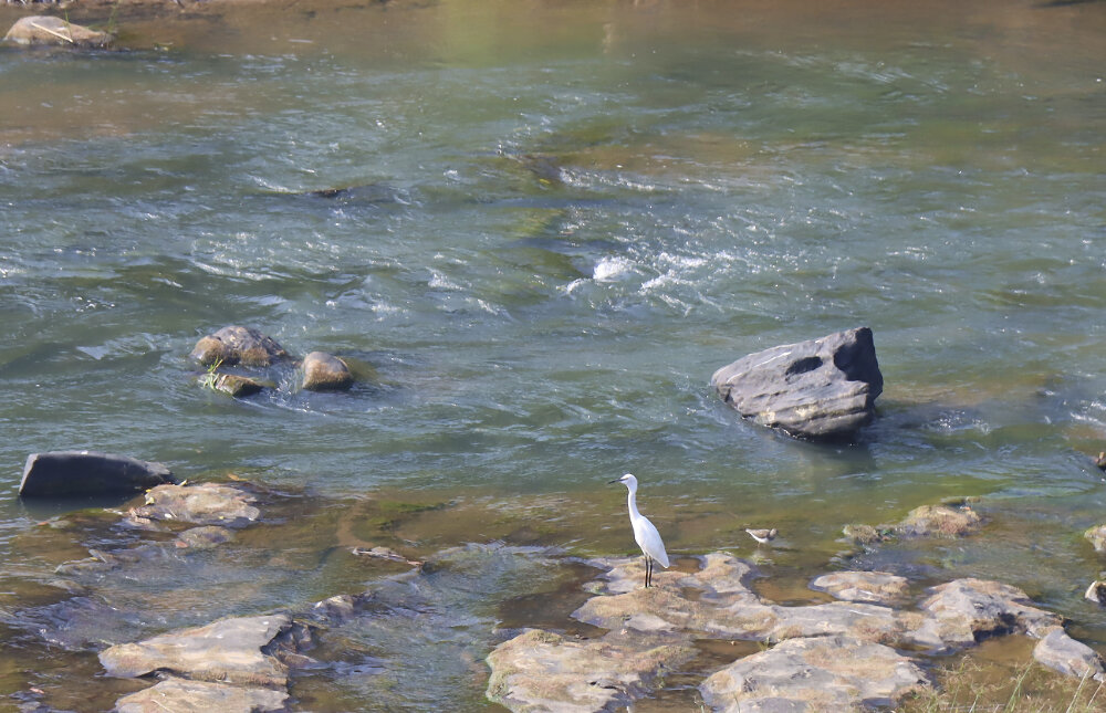 На реке Маха-Ойа - Галина Ильясова На реке Маха-Ойа - Галина Ильясова