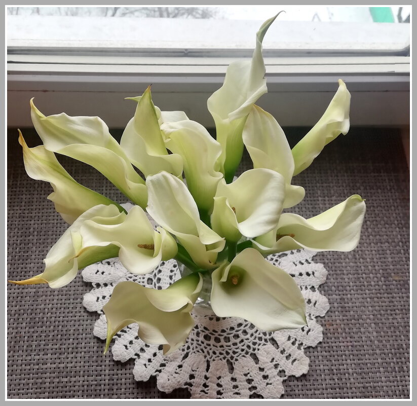 Белые каллы. - Ольга Довженко