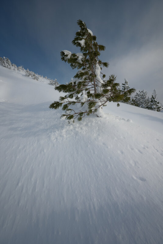 * - Александр Иванов