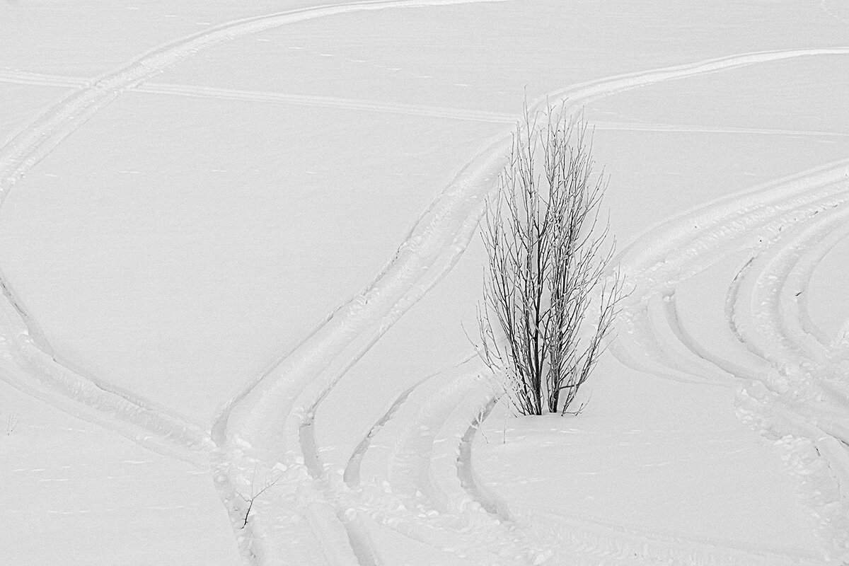 шрамы . - Максимус Кунгурский
