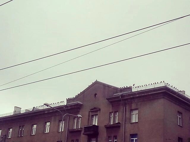 Голуби на крыше - Alexandra Sakharova