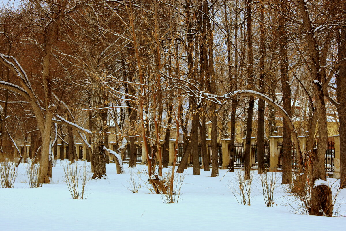 И снова снег... - Нэля Лысенко