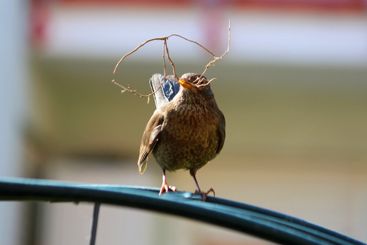Очки купила - Юрий. Шмаков
