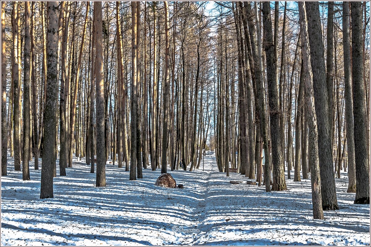 Солнечный день - Aquarius - Сергей