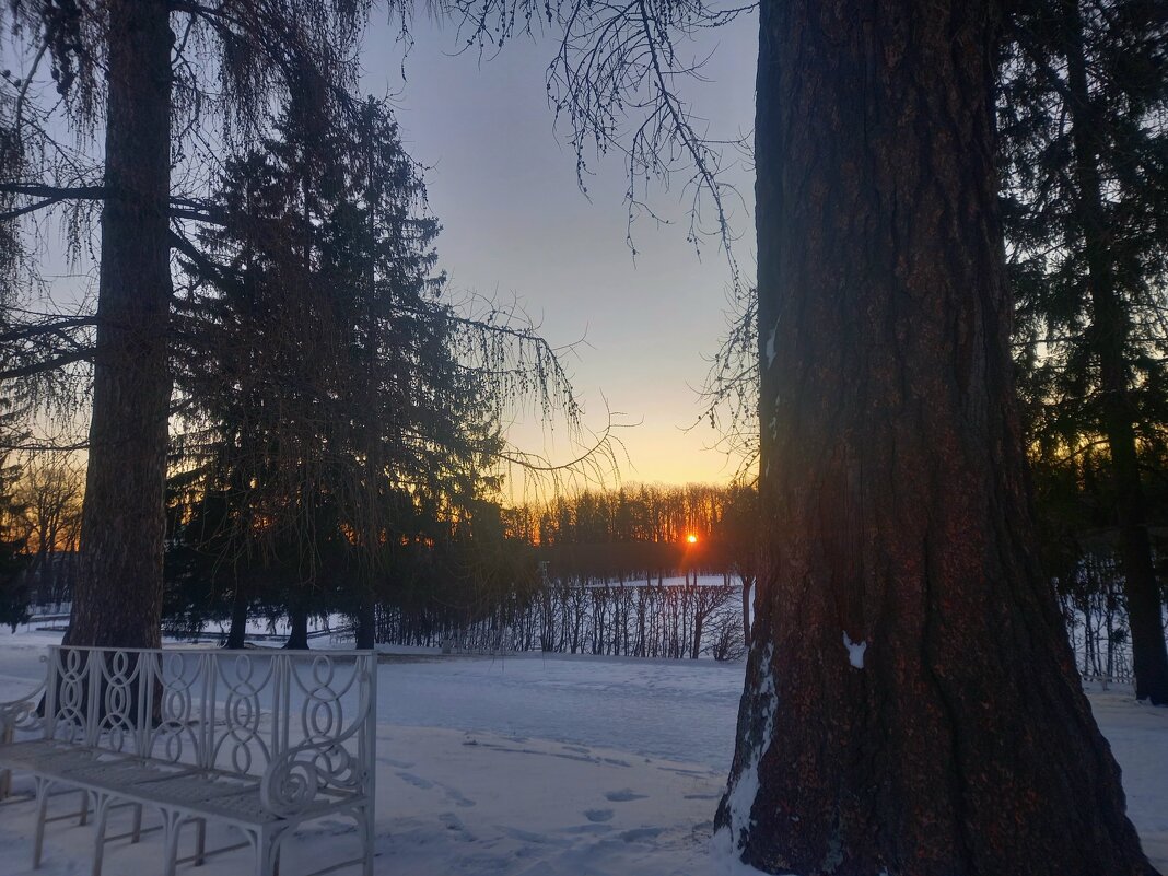 Рассвет - Сапсан 