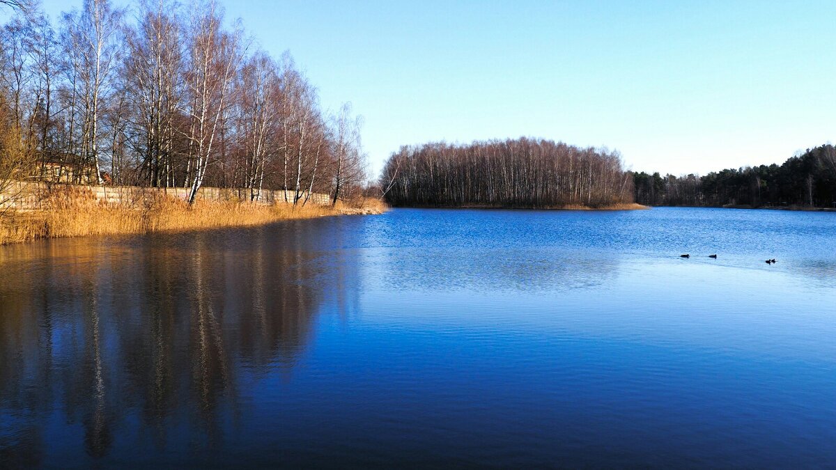 Про смоленскую весну (репортаж из поездок по области). - Милешкин Владимир Алексеевич Про смоленскую весну (репортаж из поездок по области). - Милешкин Владимир Алексеевич