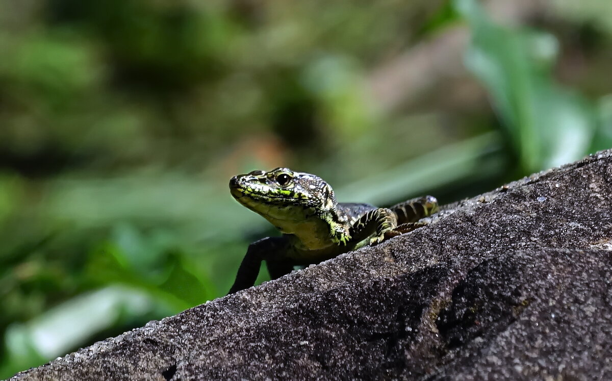 Любопытная. - Марина Леонидовна
