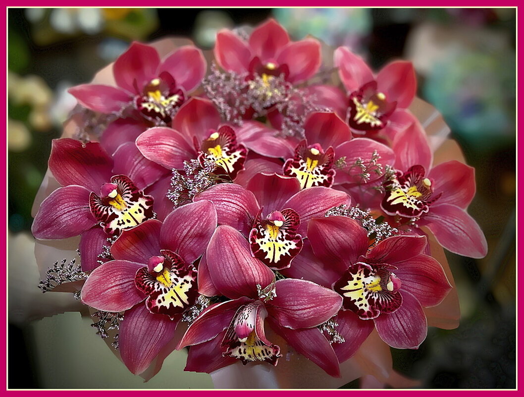 Цимбидиум — роскошный «король орхидей» - Ольга Довженко