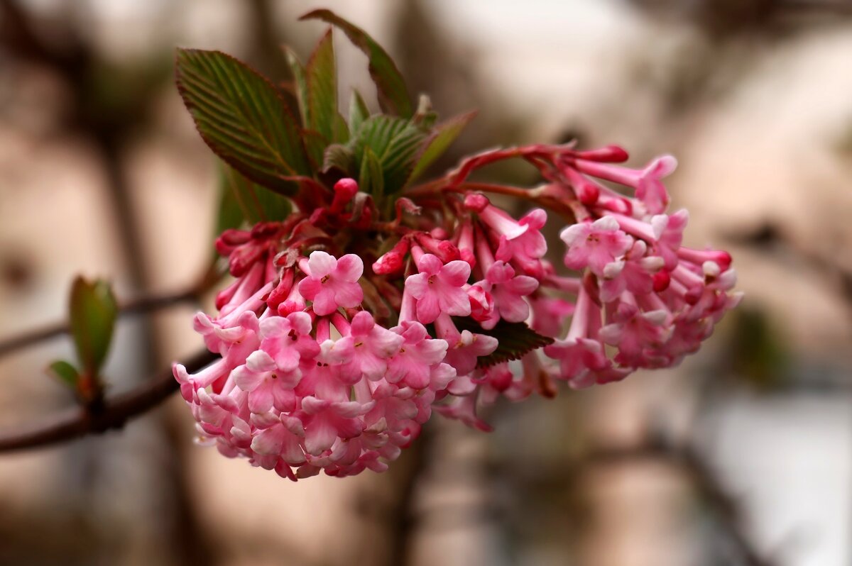 Доброе утро - Юрий. Шмаков