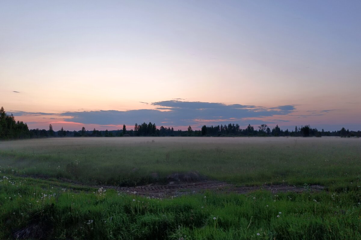 Сумерки над полем - Артем 