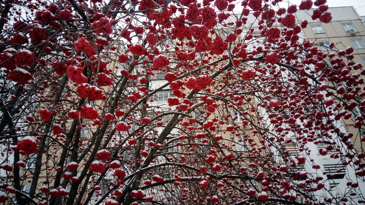 ,,, - Сергей Тимоновский ,,, - Сергей Тимоновский