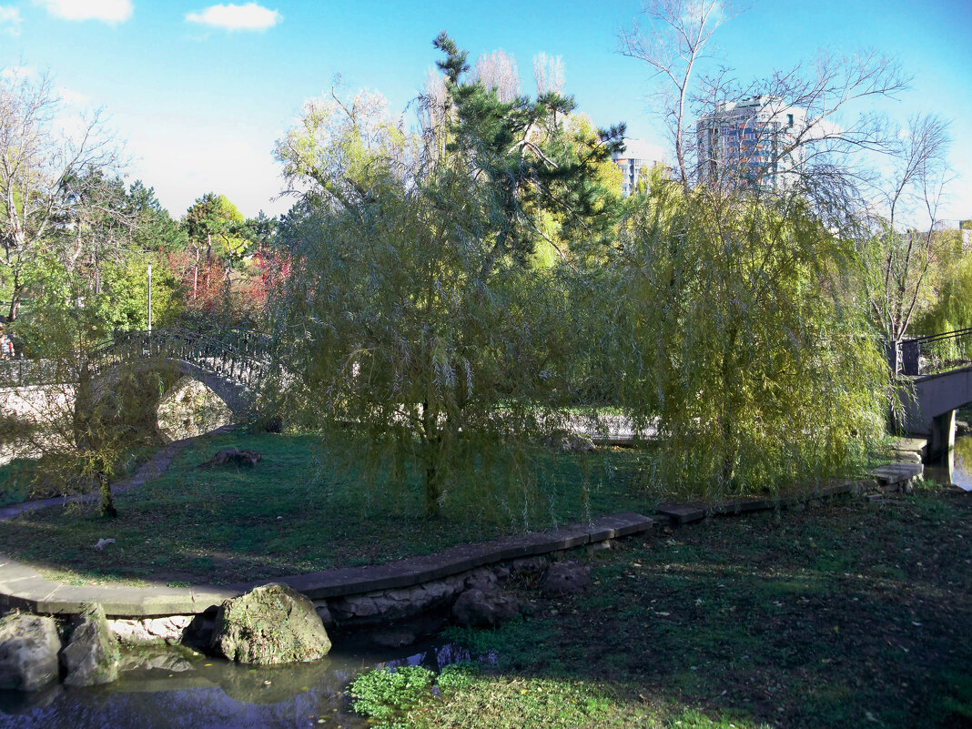 Зелёный  островок - Валентин Семчишин