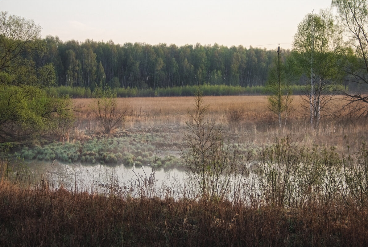 Восход на поле, 2010 - Джованни Луче